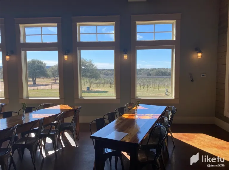 cld8xkt6w00lm6kszesci6wyt_View_of_grape_vines_from_tasting_room.webp