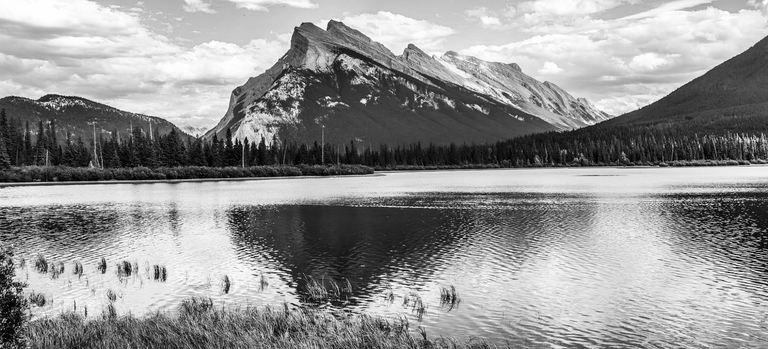 claoqak6804a32pmjalto36n9_0B1820E5-B292-40BB-9AF9-6517F03BE1A9.png