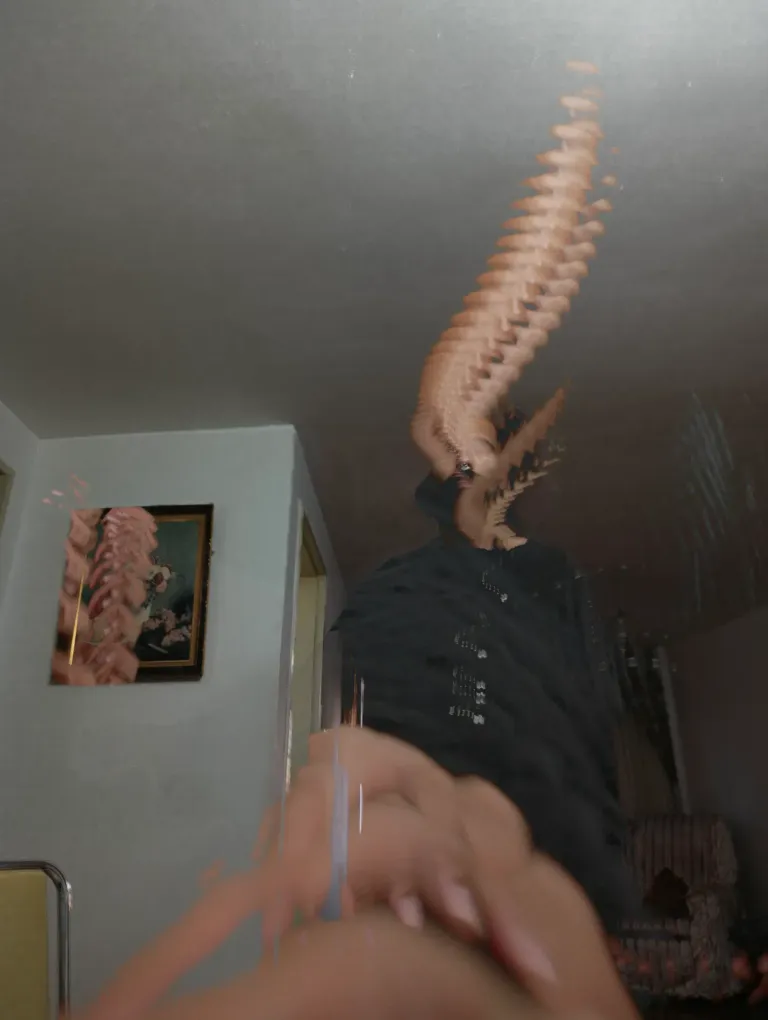 qUCh3YEXHFlU99GV_1000009198.webp