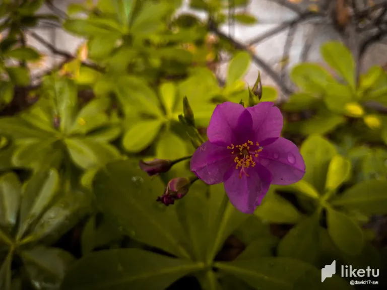 9G5YeKpoMFSDQR4k_IMG_20250504_092111_916.webp