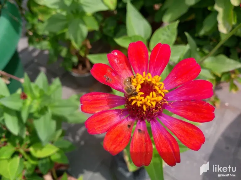 B1ZpxMfKjoeA01Lf_photo_2_2025-05-02_16-16-05.webp