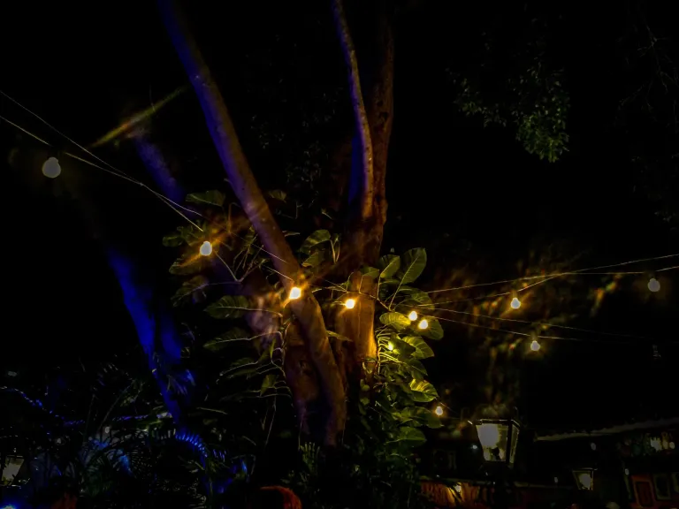 CjyVPeoOxUmCh294_IMG_20241019_001801_108.webp