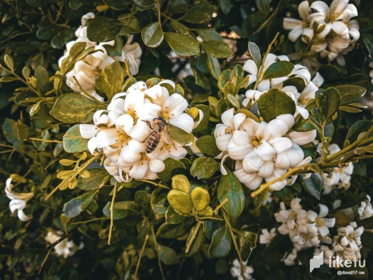 d4mj42QtBkUQFQPN_photo_4_2025-05-02_16-16-05.webp