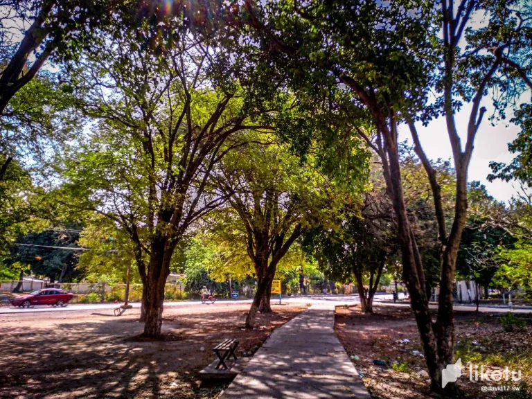 r5LvkqzwNyTqQY3f_photo_1_2025-03-04_15-55-27.webp