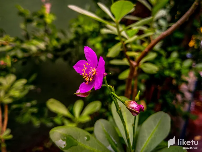 yxzGIL642C3G45yV_IMG_20250504_092758_953.webp