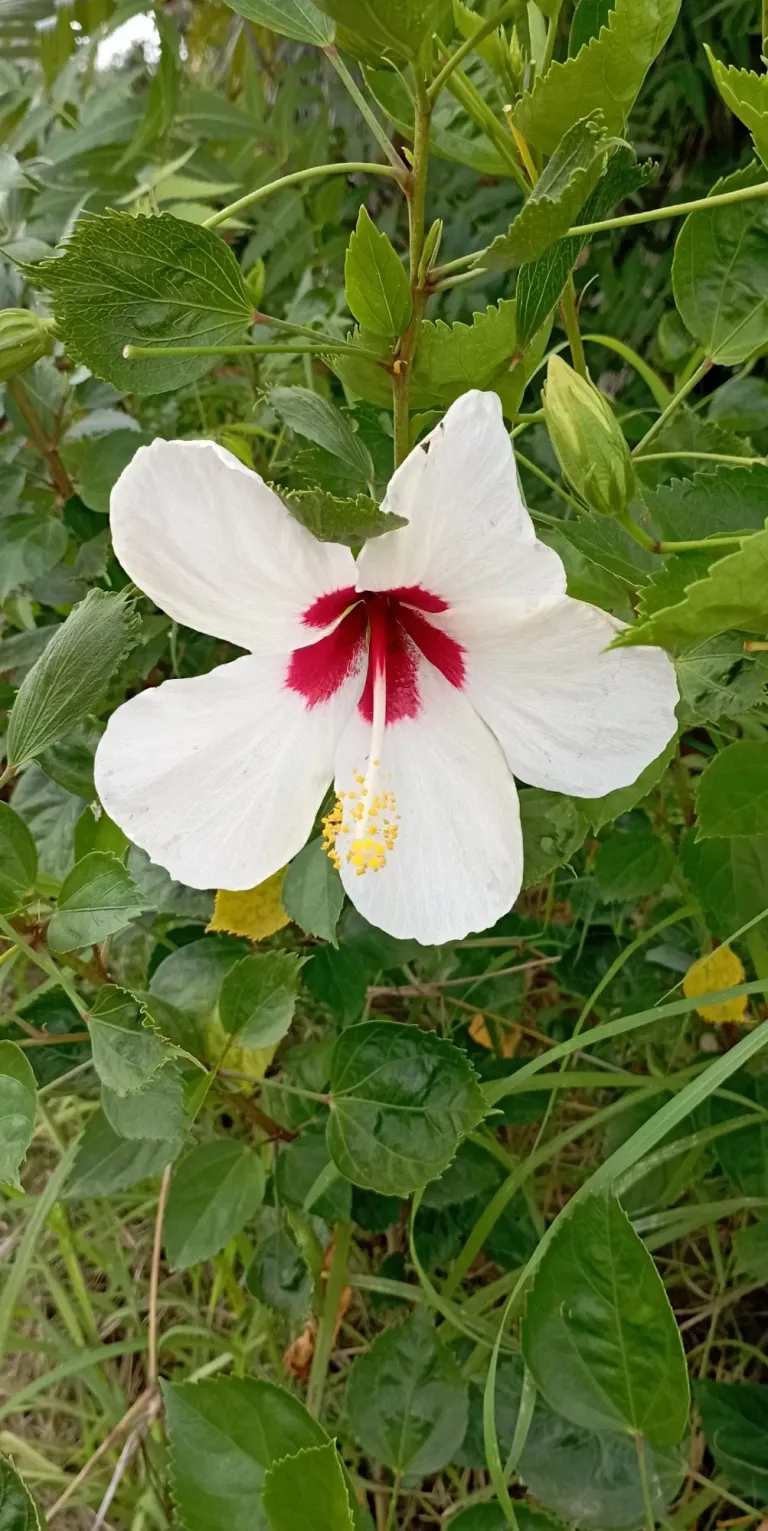 AjvTrfXdpCBMPhXF_1000612545.webp
