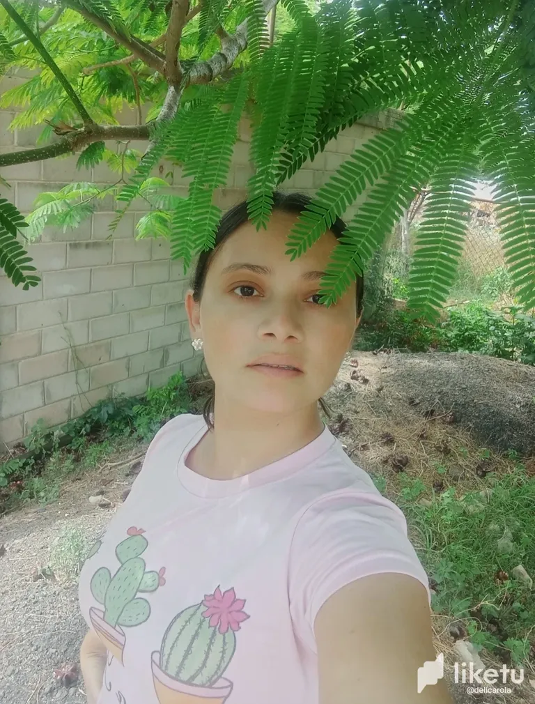 cli2hk33d01dh22sz0q3l0dbs_IMG_20230524_211535.webp