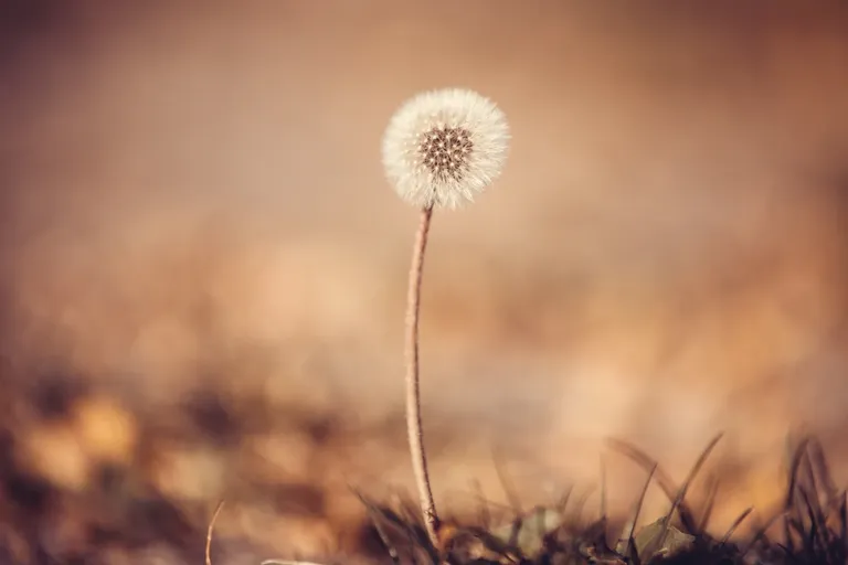 cl9ad0gu102960vkc5h3uae33_photos-1587.webp