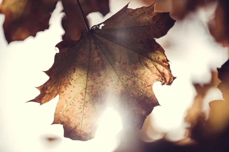 cl9ad0k9702e32ckc8txh9ioh_photos-1589.webp