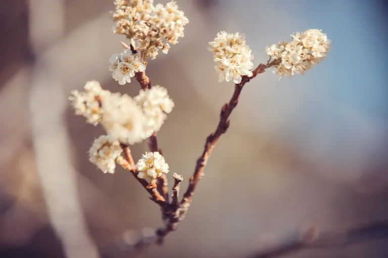 cl9ad0n6y028g1skce5r29e99_photos-1592.webp