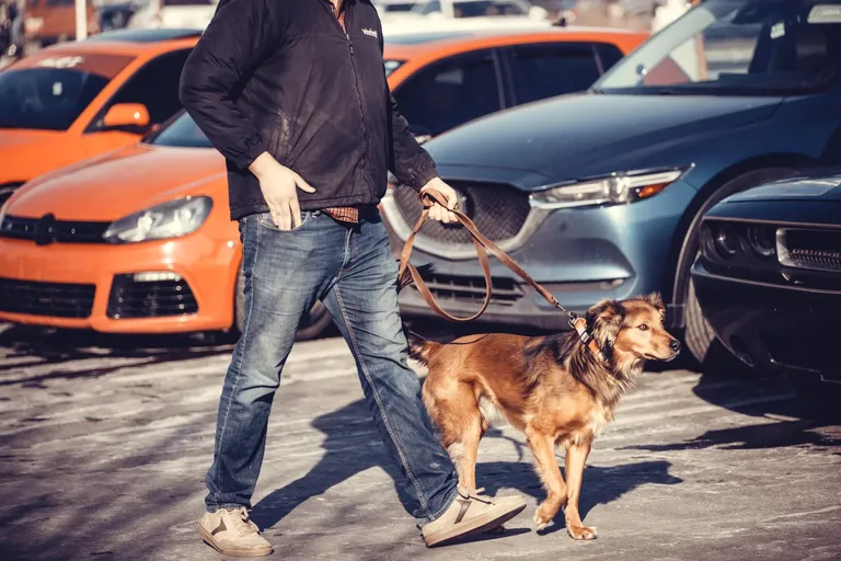 cldrtaheg00ke1qsz3fqn7jik_carmeetup-2636.webp
