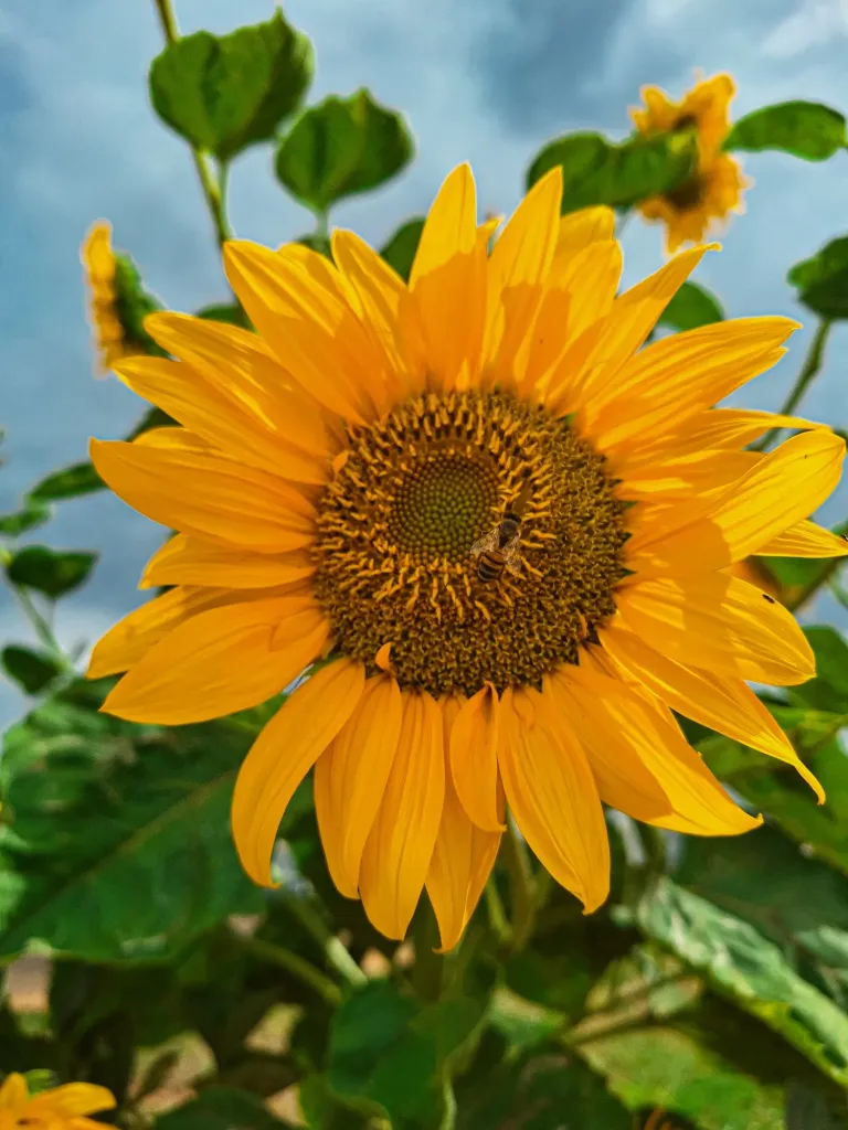 FWFg0GE2N15PataI_20250503_150323.webp
