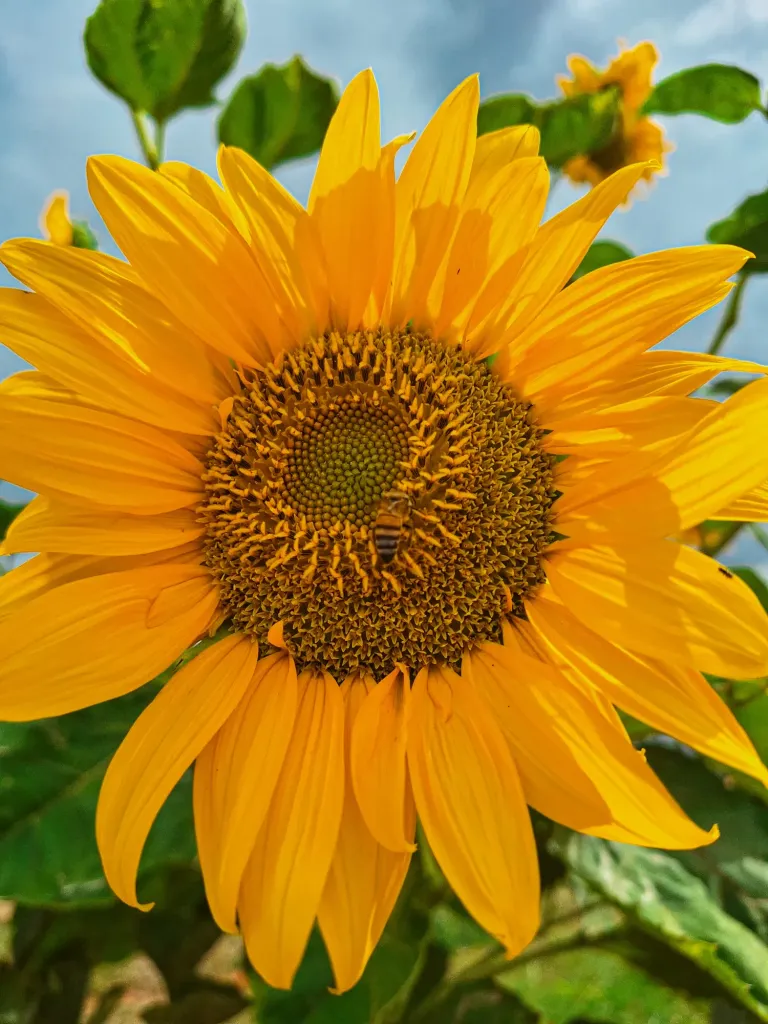 evhq9c3pN3Ipgv8Q_20250503_150322.webp
