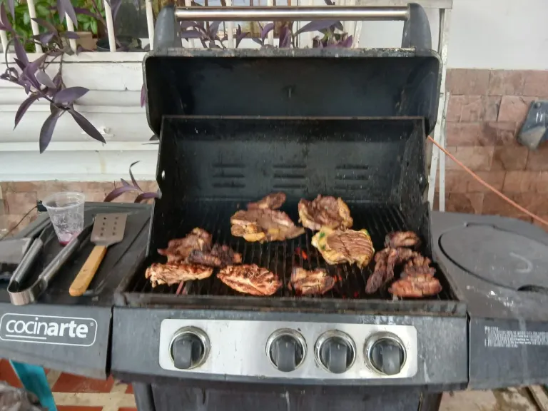 0Lf0Lr5FXTnxJ2yJ_parrilla2.webp
