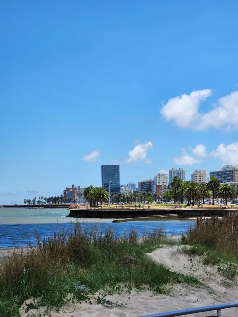 WydSaurdCiWIDAqh_rambla2.webp