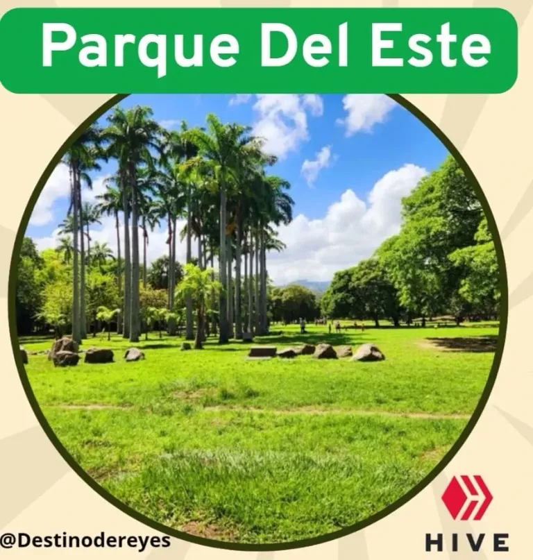 vu1jlQ4SB5aFPG9M_Imagen_de_WhatsApp_2025-06-19_a_las_17.36.19_efa0458a.webp