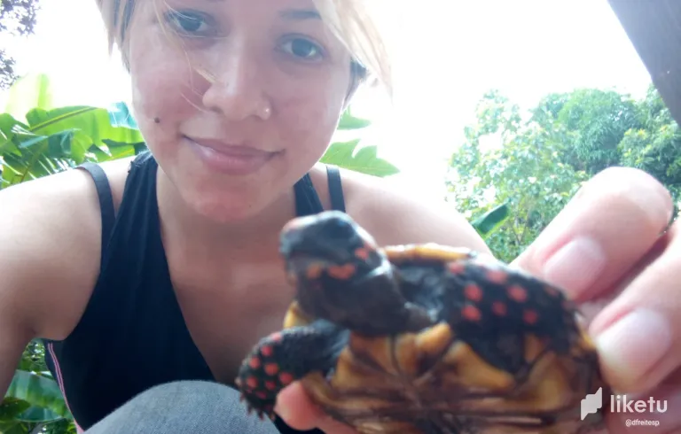 clotevo4400wb7lsz50zuhonl_tortuga_10.webp