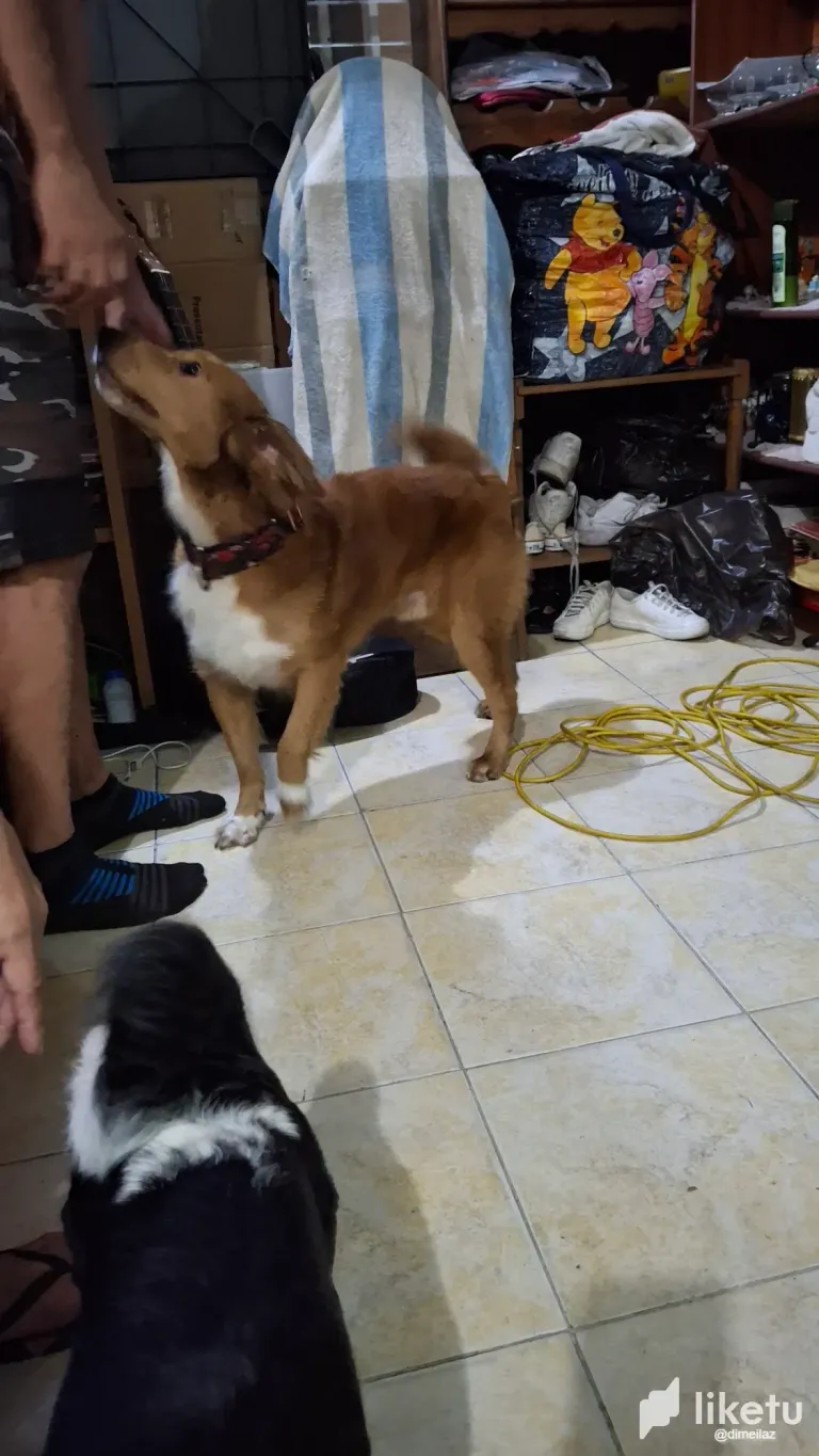 cHR6HMmKIBgZVXiB_20250421_213115.webp