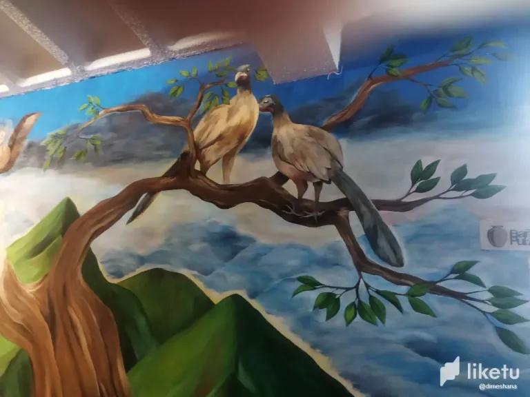 2aSUqDD2t9vH9ets_photo_2024-08-10_09-57-16.webp
