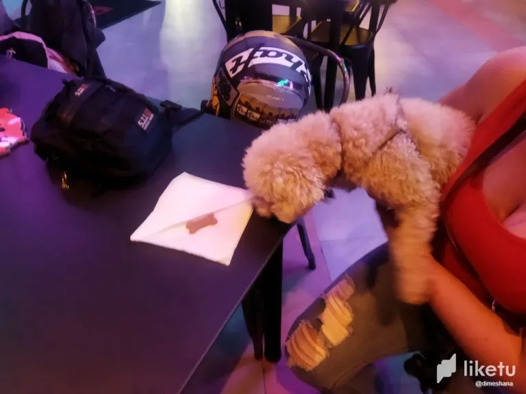 clmowsvxd02va6usz8t9bhzws_photo_2023-09-18_08-56-03.webp