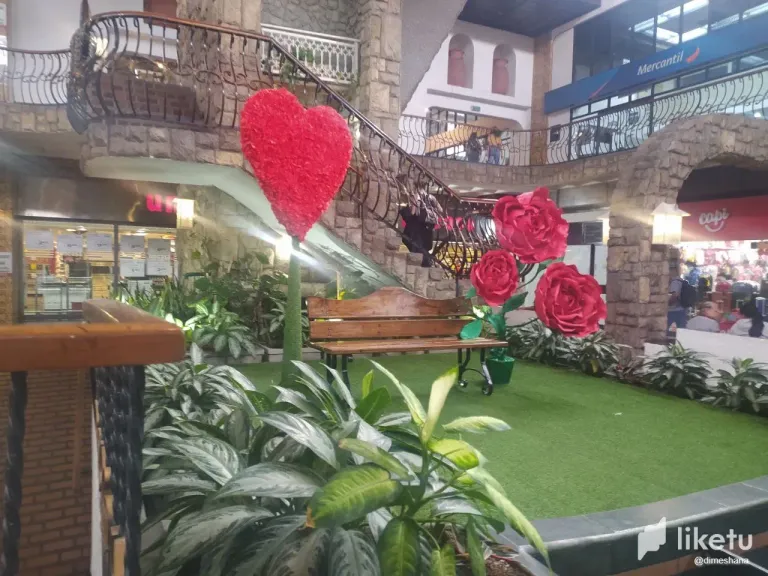 kr4DOPVnqCDCmEvY_photo_2025-05-21_10-44-59.webp