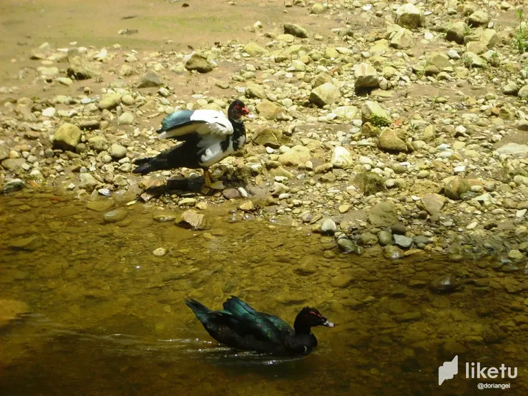 cldvqeu2d000j3xszcir80ubs_058.webp