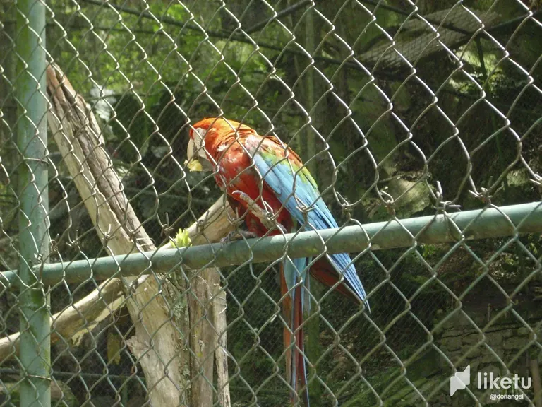 cldvqhc61000bbcsz735g7g59_013.webp
