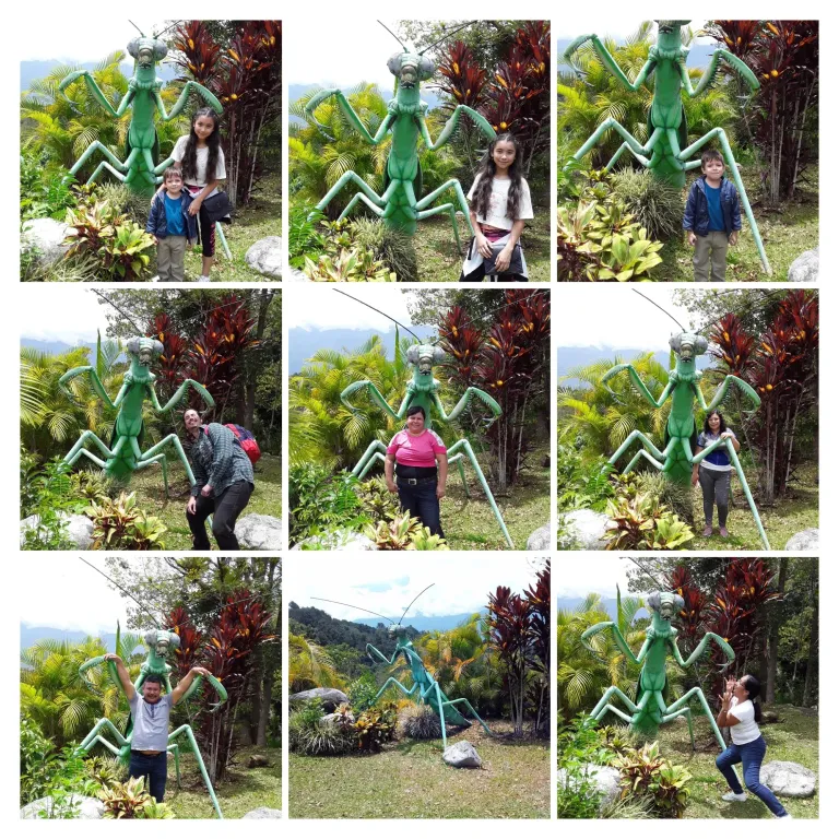 hPpaib7p4dNUNZid_20240831_123204-EDIT-COLLAGE.webp