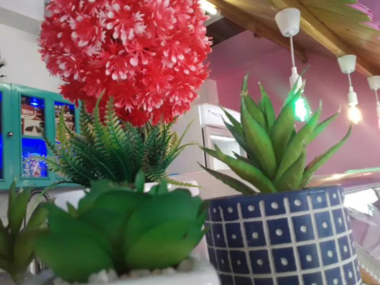 m9HjkoalnvQUFJqj_20240725_162900.webp
