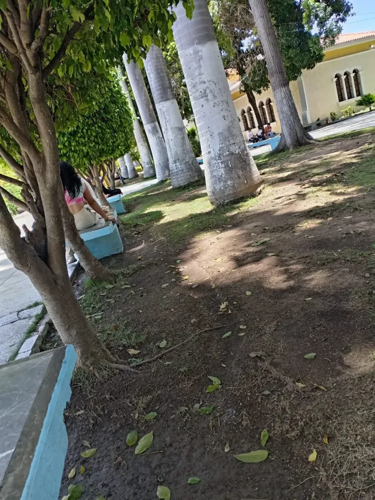DOKXVTE34X8ciN48_IMG-20250823-WA0004.webp
