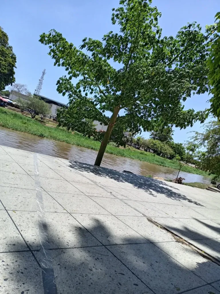 KhYAeEHmIrourp4w_IMG-20250823-WA0005.webp