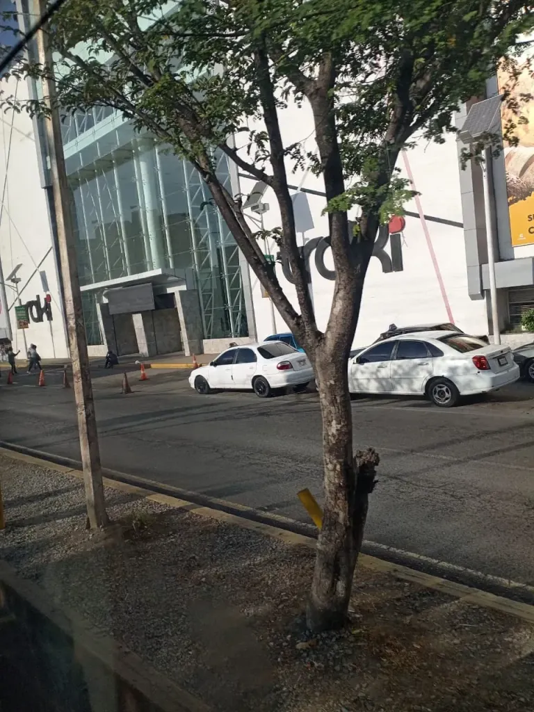 XPxWMZQGQtrp08L3_IMG-20250326-WA0020.webp