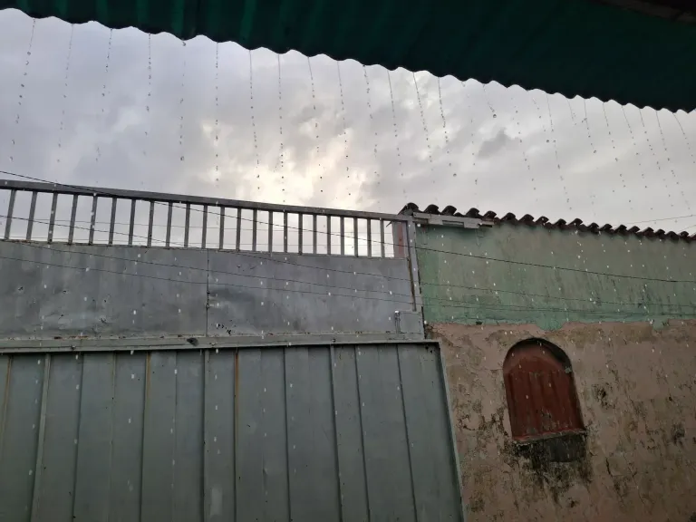 CFjS8G5gEzW7P5Dr_1000339914.webp