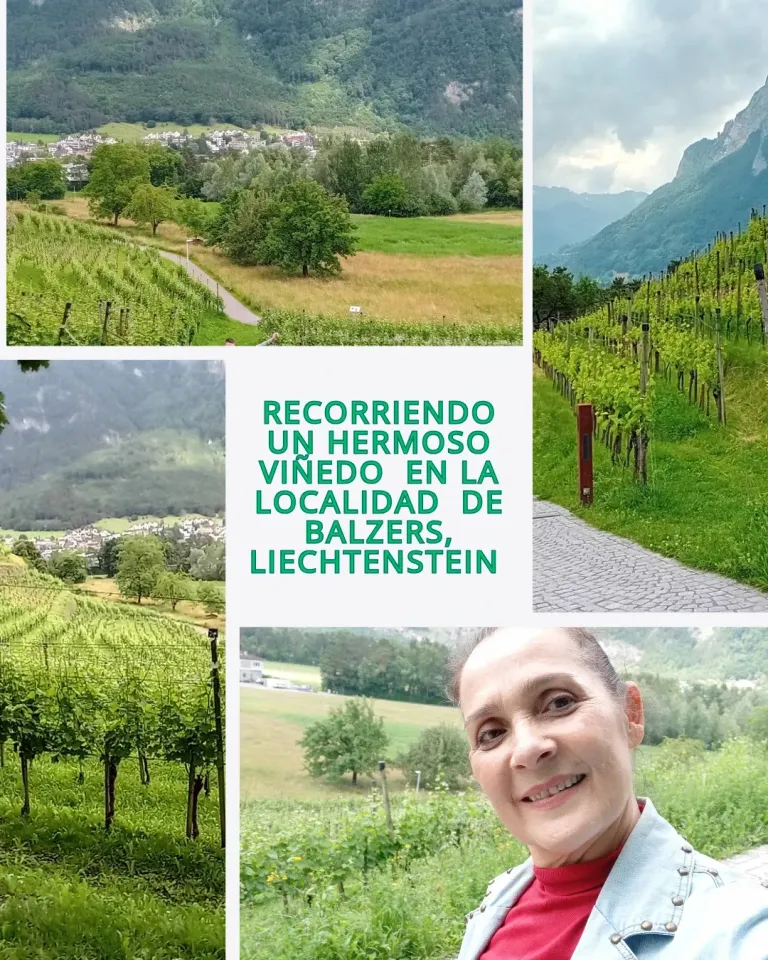 6q0aQXLvgTXkkswn_Grau_Minimalistisch_Collage_Zitat_Instagram_Post_20250626_064322_0000.webp