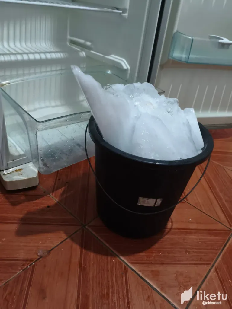 450bKSxTH1utVLWt_4.webp