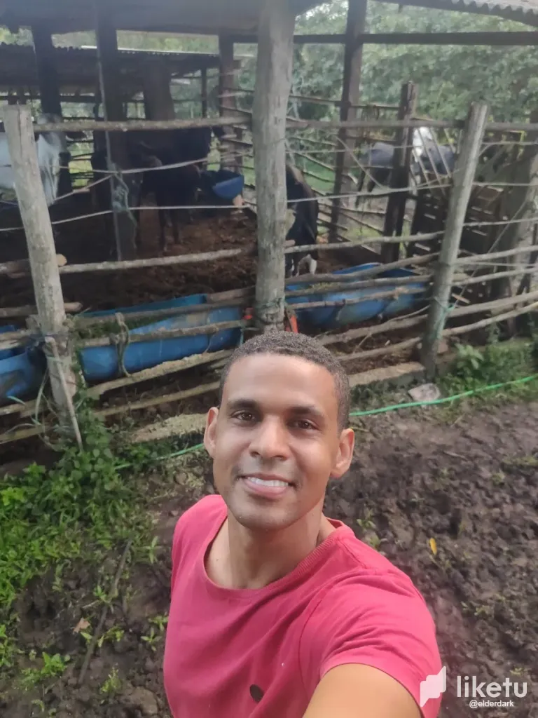 [EN/PT] Weekend at the farm