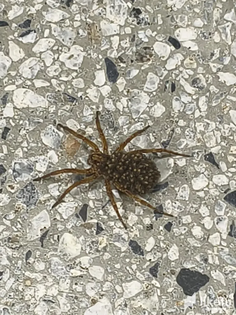 YRnNRQLtsDBAyMLM_2.webp