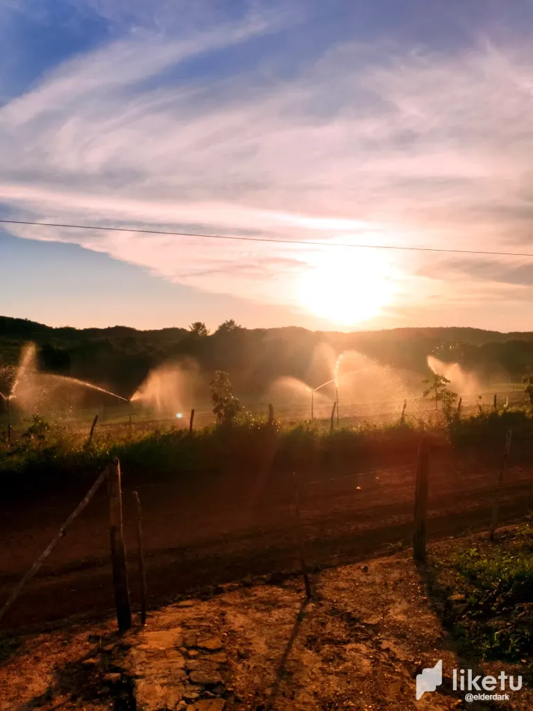 [EN/PT] 📸 HiveBR Photo Contest #19: Sunset in the countryside