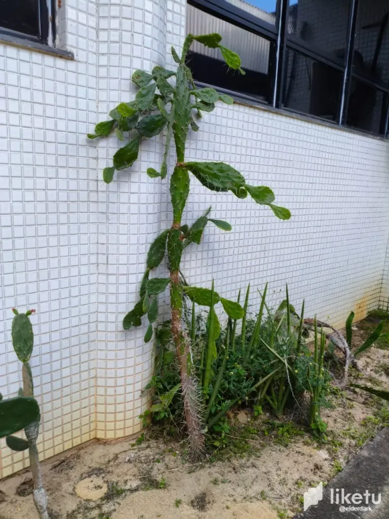 x91JAaE5Sj1gVzqi_2.webp
