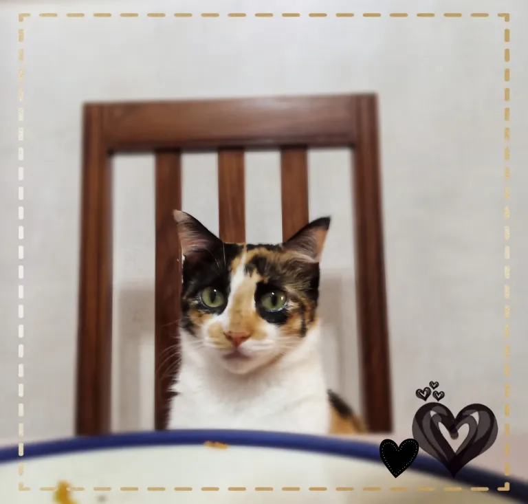 QLXVU4qHUuj7HPAR_CYMERA_20250204_233709.webp