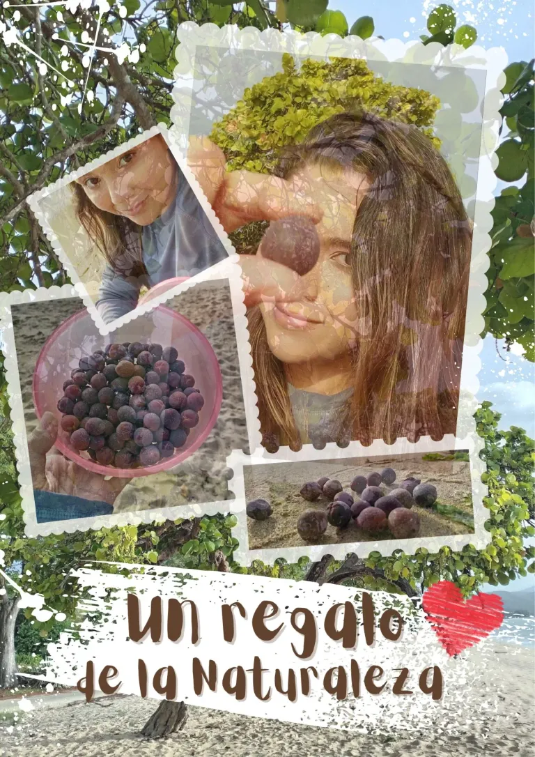 xHNWHhqoTwDmrYfb_Cartel_con_fotos_collage_Da_del_Amigo_marrn_20250627_214614_0000.webp