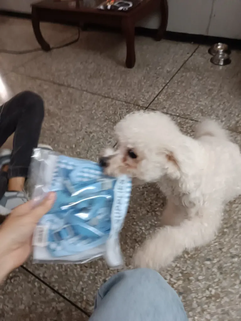 TERFhMj0MAyRKBFW_1000734016.webp