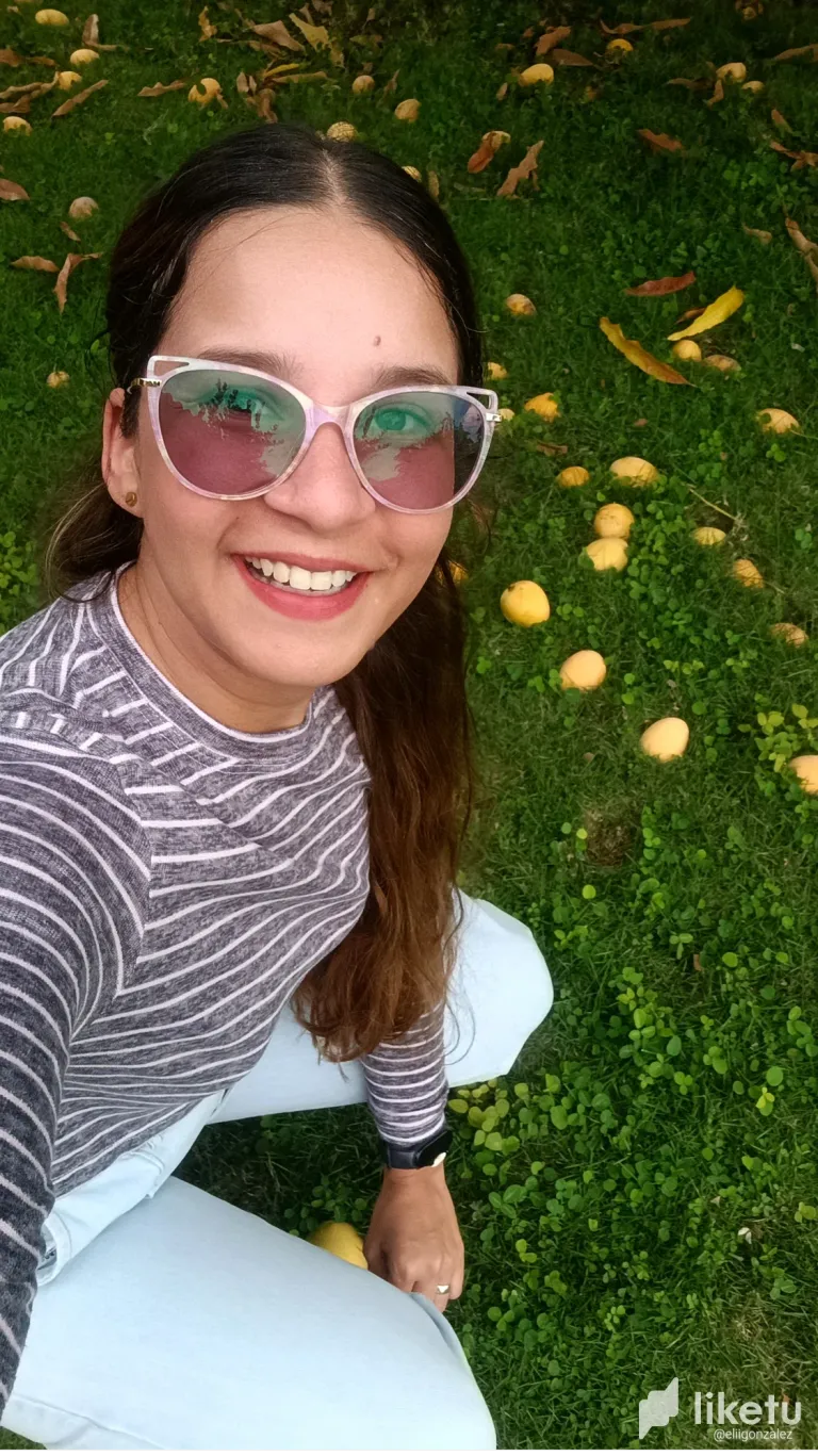 l8fuIvbI6dJNbGzI_1000494350.webp