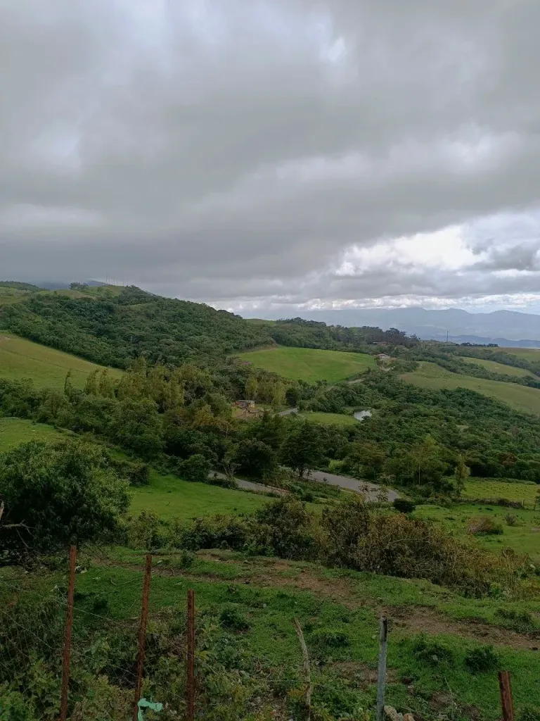 vWSLQvyykf4f0eE2_20240626_232219_180.webp