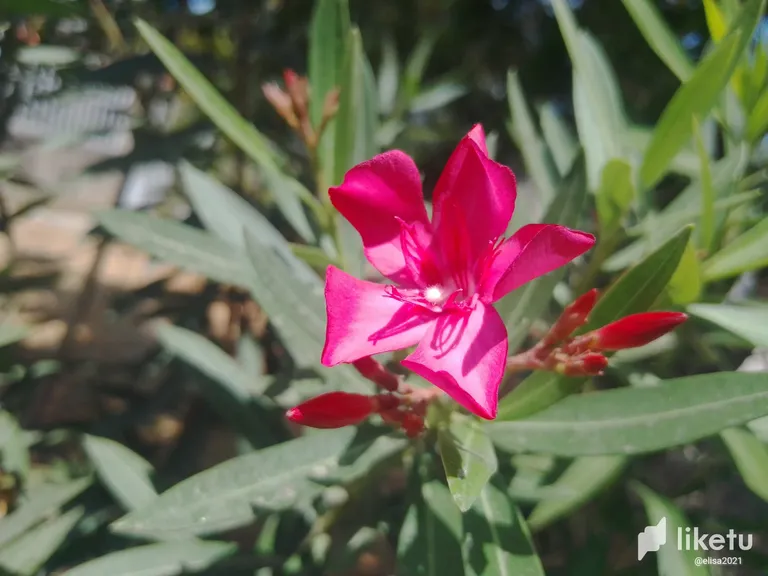 clg14rpmn00mb5dsz7hz20a7j_IMG_20230403_110441.webp