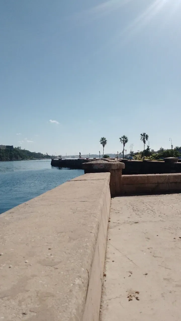 K55vn8nRflEOdRYM_1000126510.webp