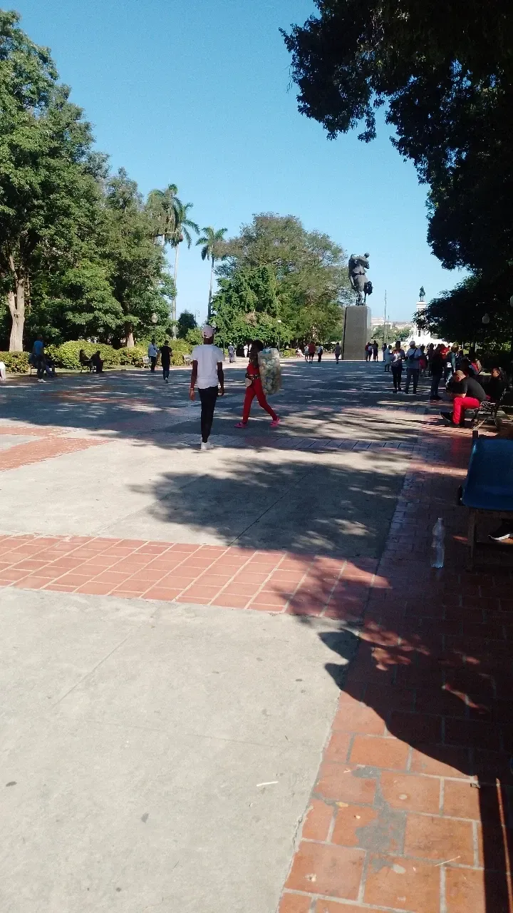 osrpmh8oUCtXZEFO_1000126481.webp