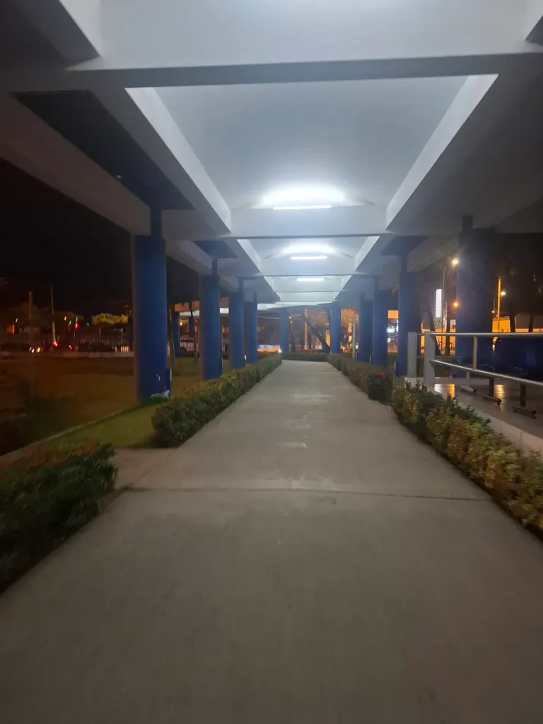 81T60oijcomAhwfu_1000345220.webp