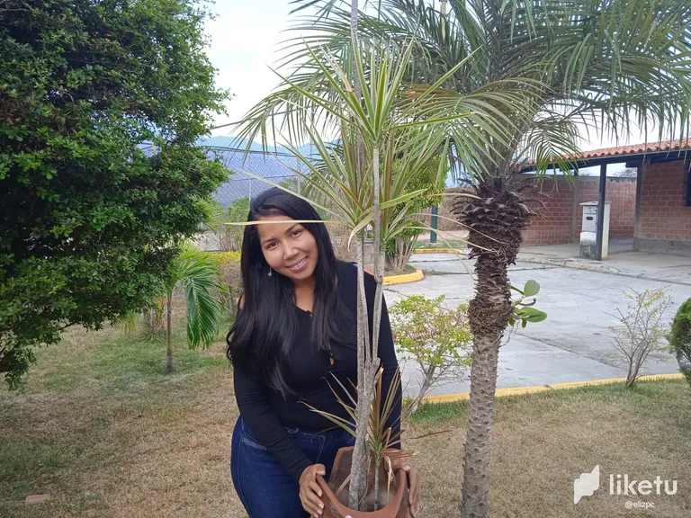 clinwc5df00hy8psz6lv2fgv0_1686270694069.webp