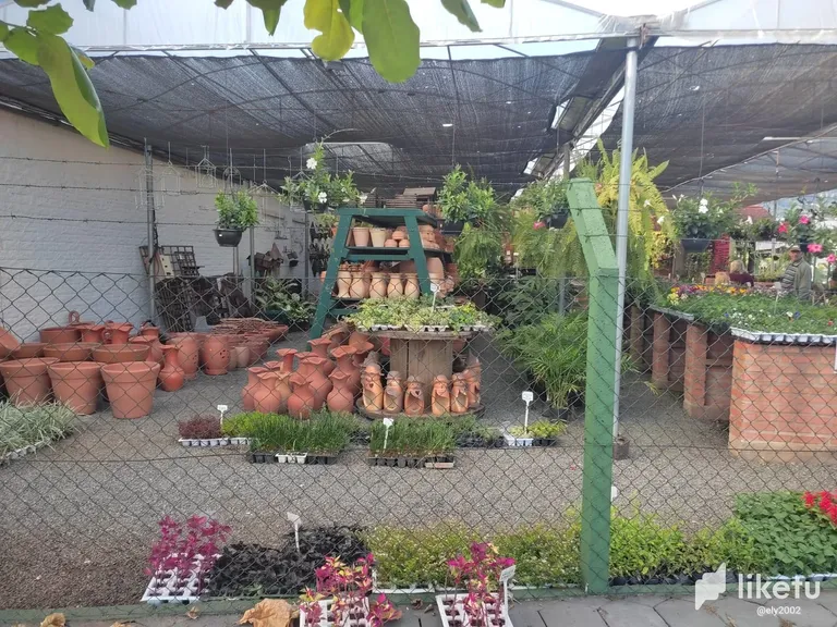 clhmhla3g00i04nszbgfb5801_IMG-20230512-WA0019.webp